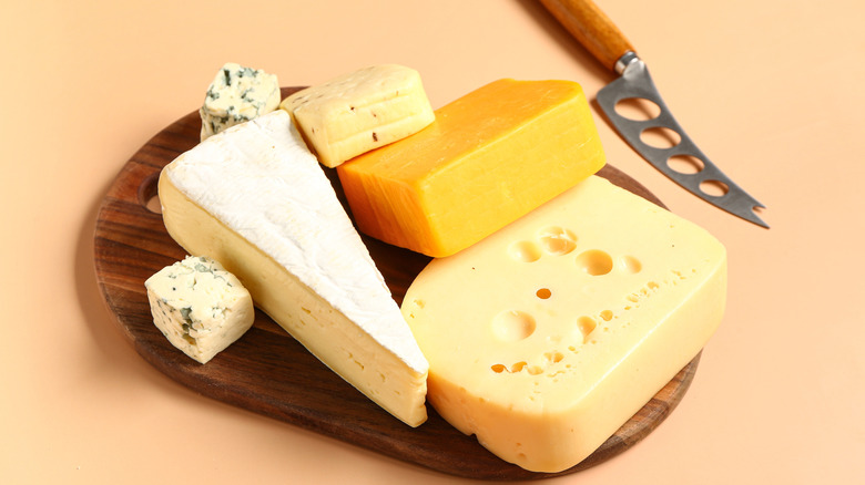 A plate with different types of cheeses.