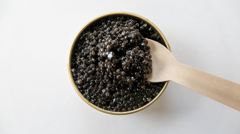 What Type Of Fish Does Caviar Come From 