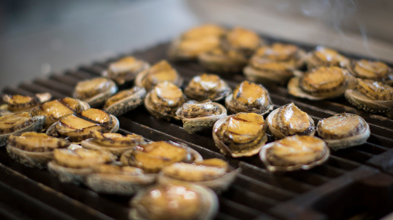 Abalone in shells on grill