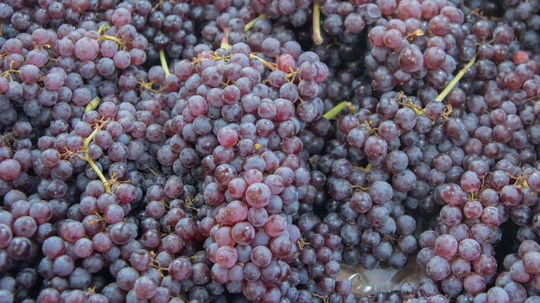 Bunches of Zante Currant grapes