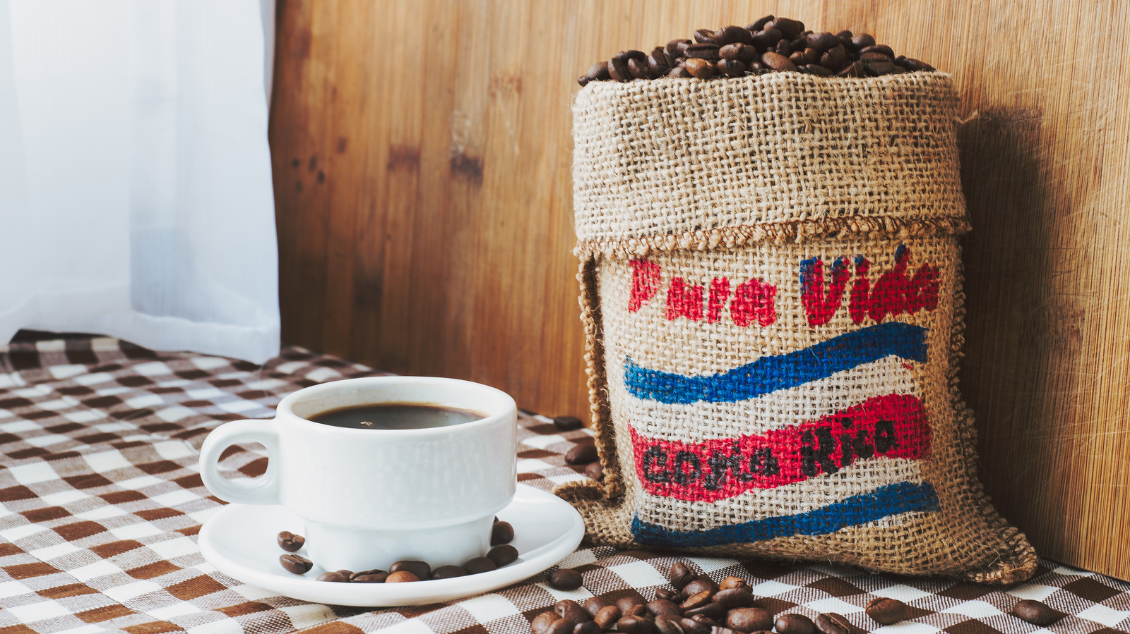 ¿Qué hace que el café de Costa Rica sea tan especial?