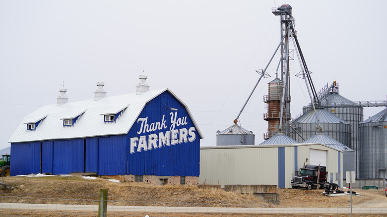 Barn reading Thank You Farmers as part of Culver's Thank You Farmers Project.