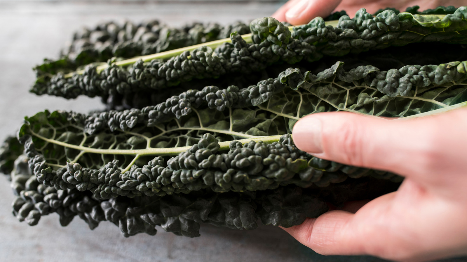 What Makes Dinosaur Kale Unique