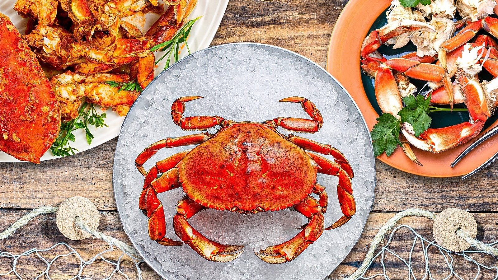 What Makes Dungeness Crab Unique