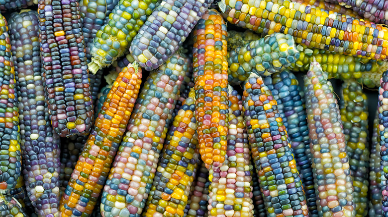jewel-colored glass gem corn