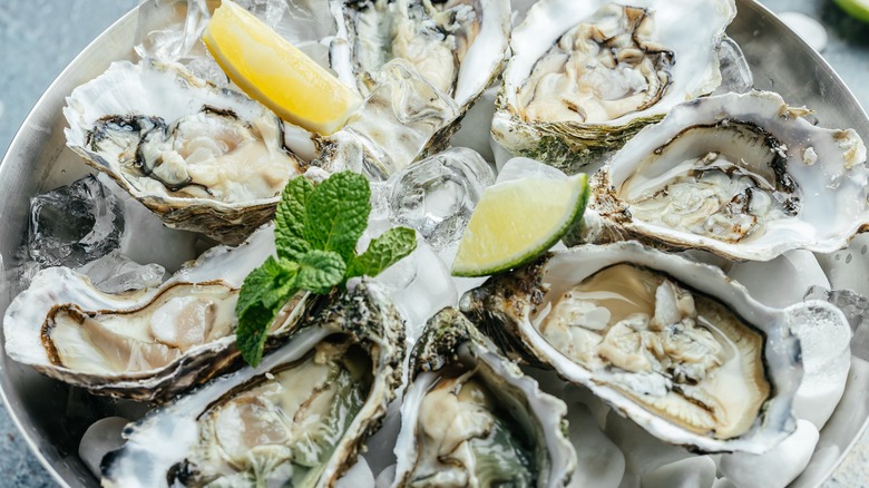 plate of oysters on half-shell