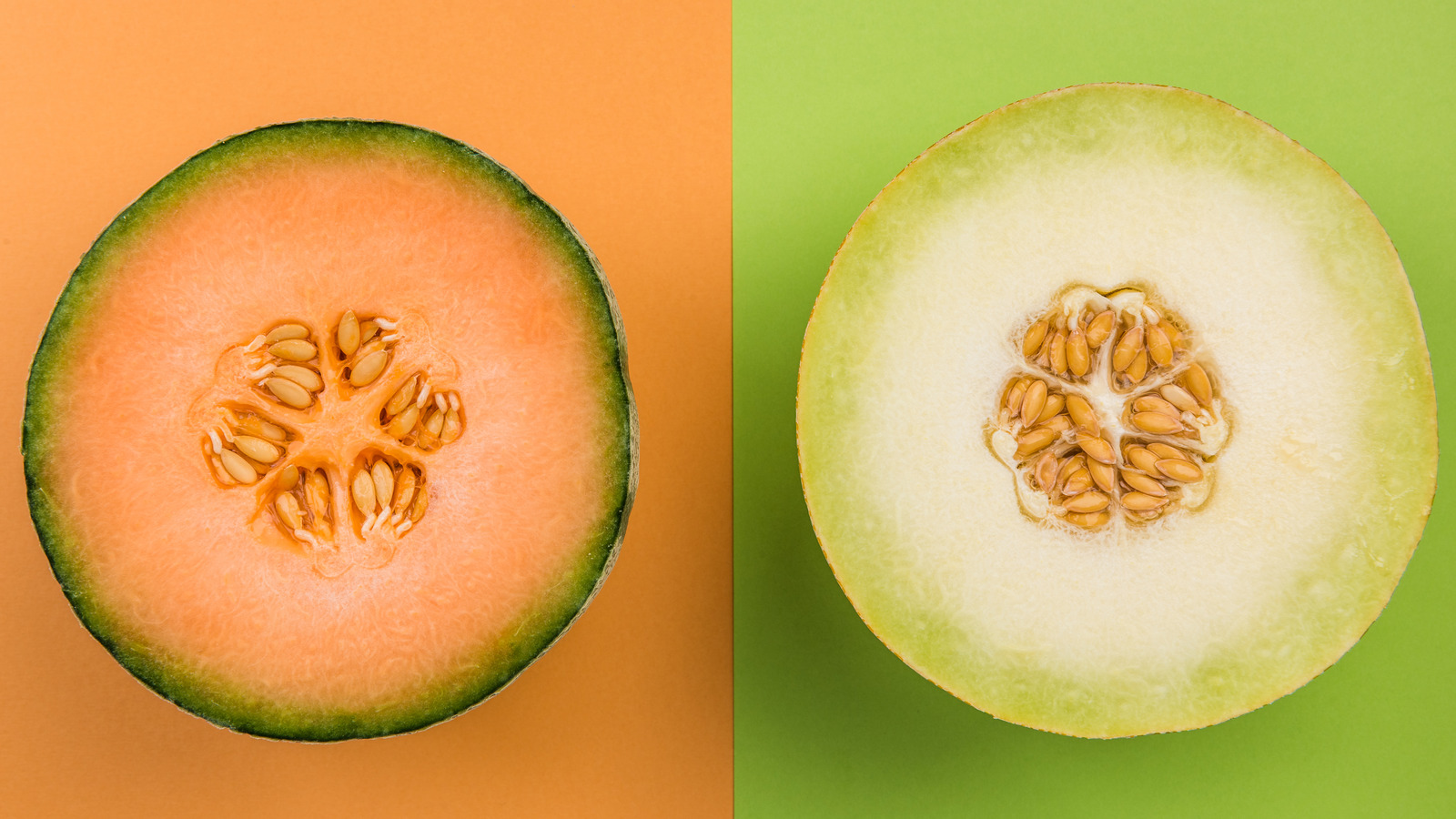 Melon amargo cetosis