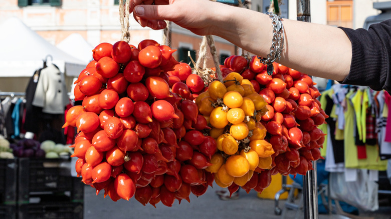 Bunches of red and yellow Piennolo tomatoes hanging at a market in Italy.