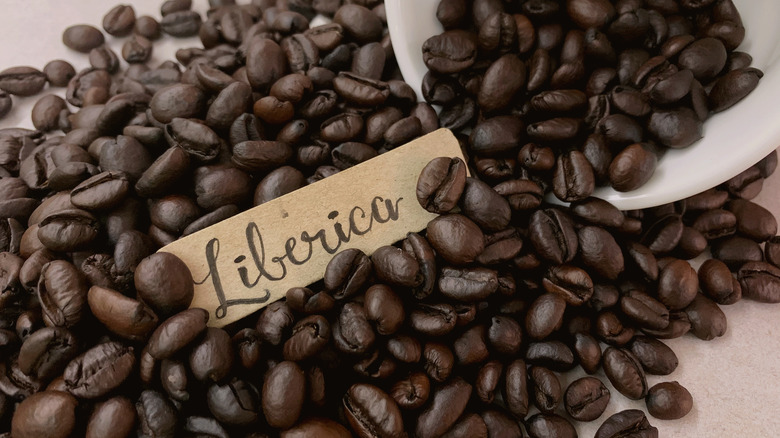 Liberica coffee beans