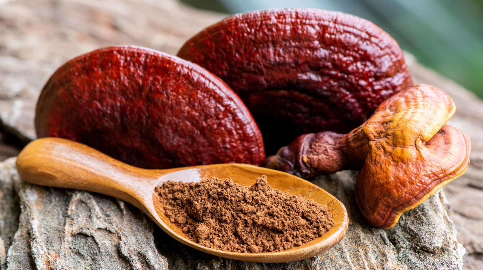 What Makes Mushroom Powder So Versatile