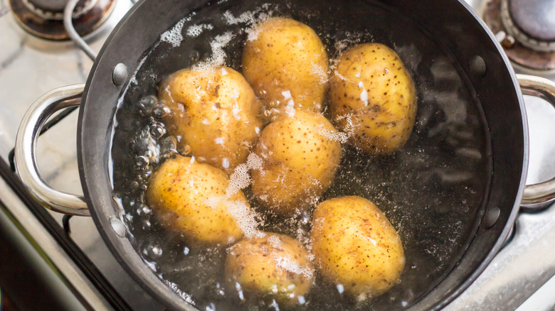 Boiling salt potatoes