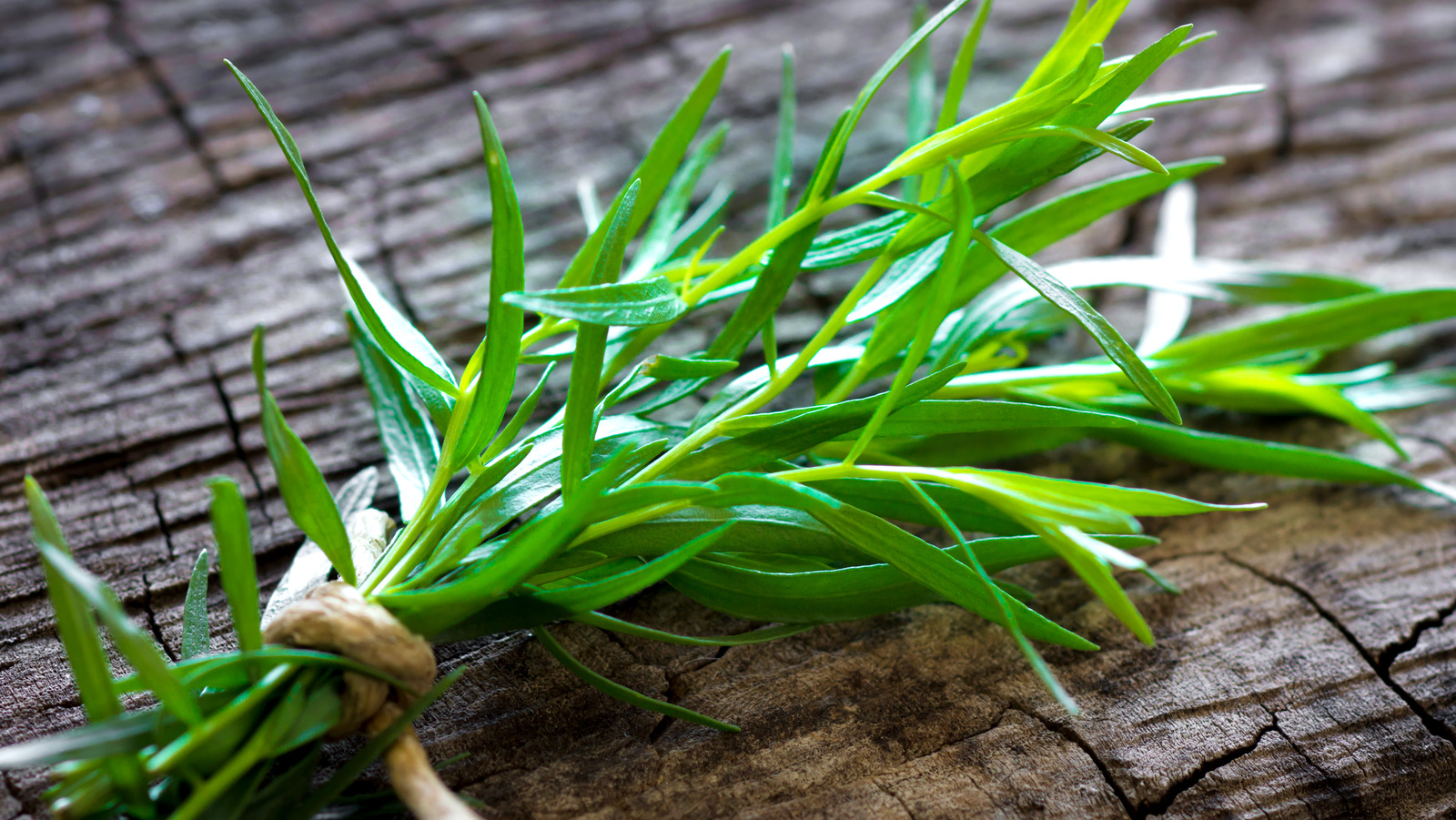 What Makes Tarragon The Perfect Dill Substitute For Your Dish