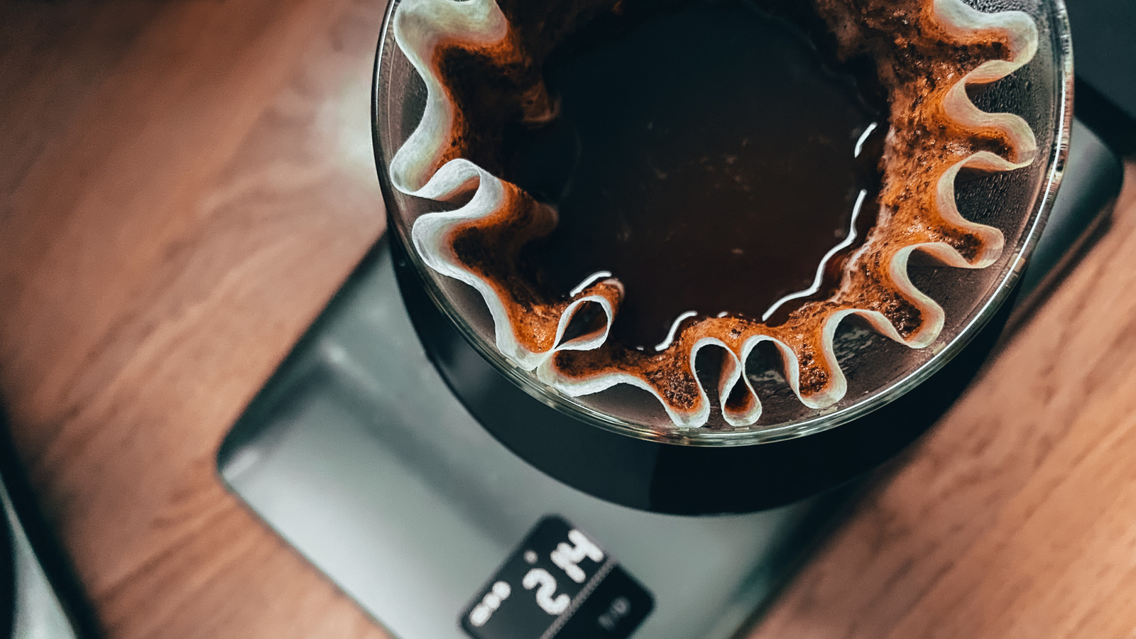 What Makes The Kalita Wave Coffee Brewer Unique?
