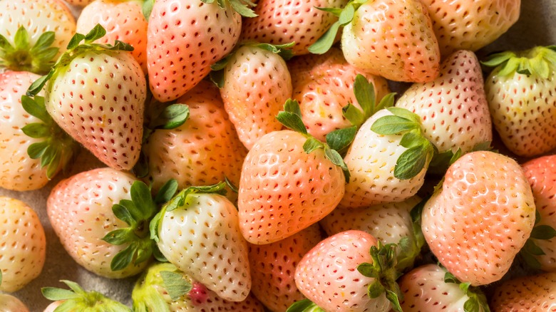 A pile of pineberries