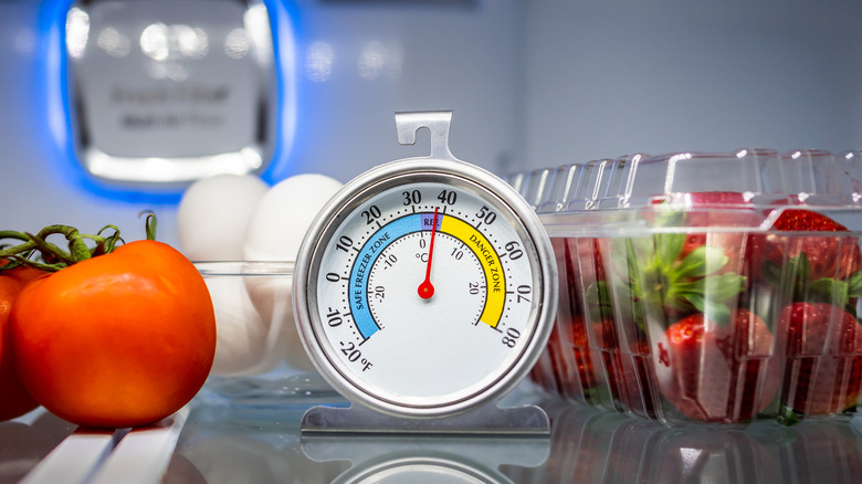 thermometer with food in fridge