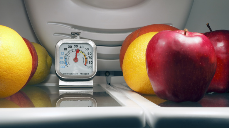 fridge thermometer on a fridge shelf with fresh fruit