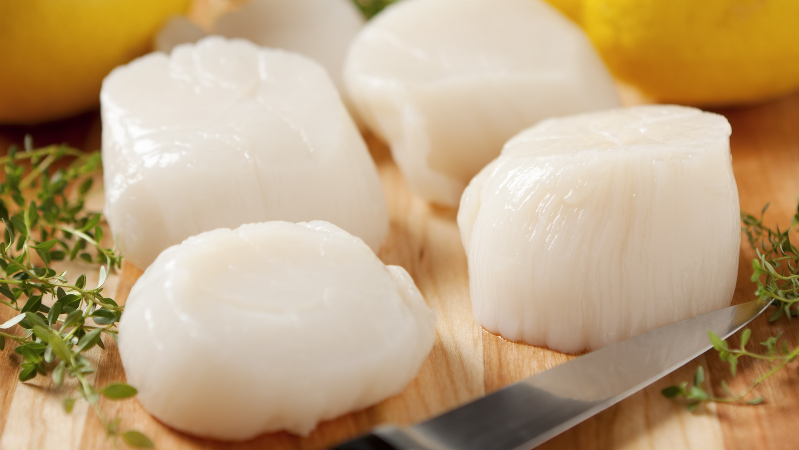 What Size Designations Mean When Buying Fresh Scallops