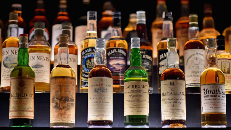 Several rows of Scotch whisky bottles sitting on a series of illuminated shelves