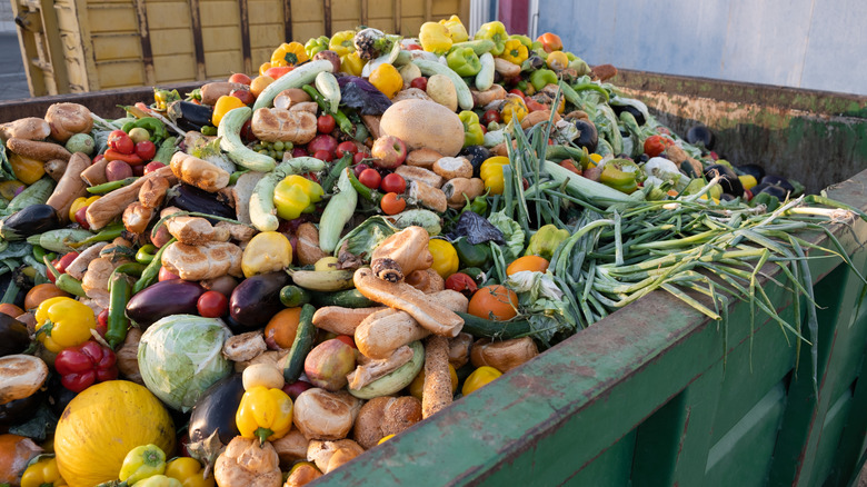 A giant dumpster overflows with old vegetables.