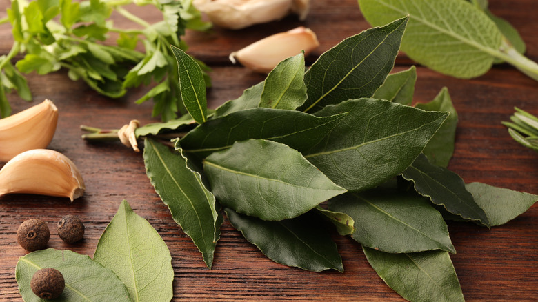 Fresh bay leaves and garlic cloves