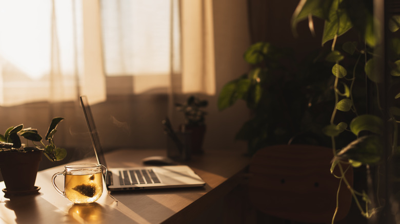 Home interior featuring a laptop, cup of tea, and plants on a wooden table
