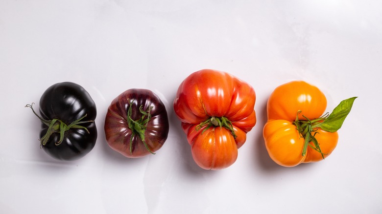 multicolored heirloom tomatoes