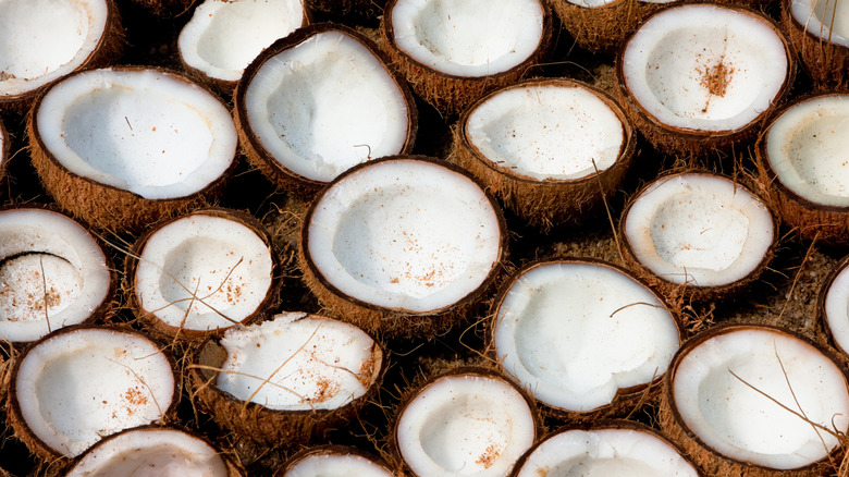 many cracked open coconuts