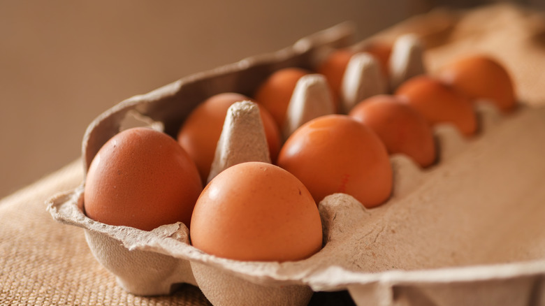 Closeup view of large brown eggs in a carton