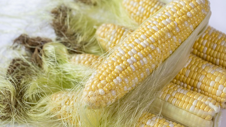 Corn with corn silk