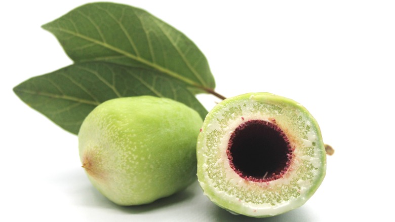 Two Kakadu plums, one cut open