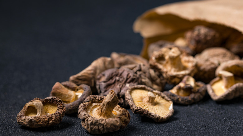 mushrooms coming out of bag