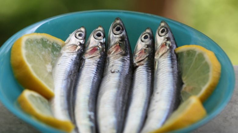 bowl of fresh anchovies