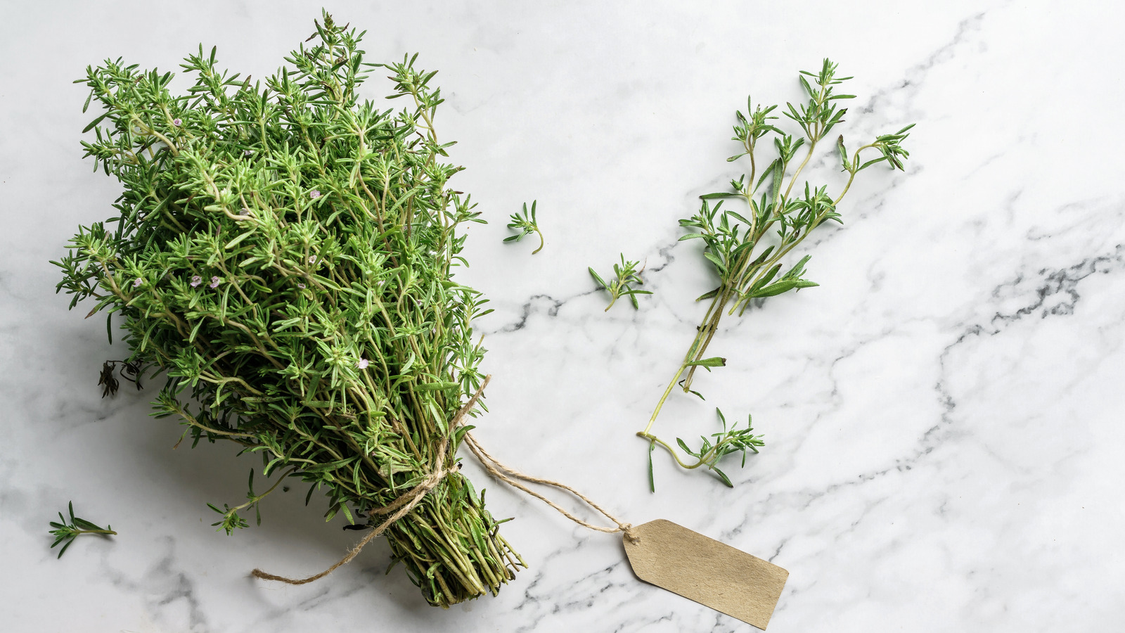 What To Look For When Buying Fresh Thyme