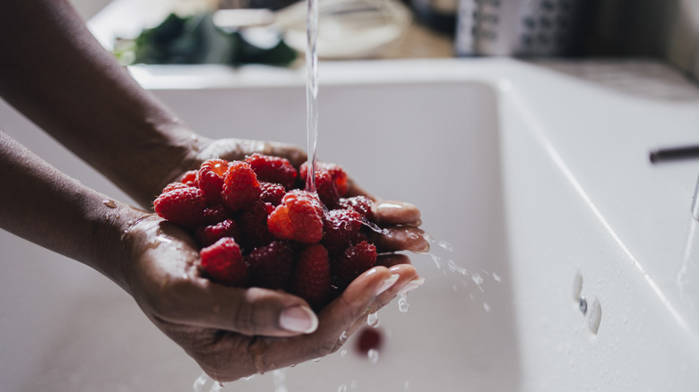 Closeup of person washing fresh raspberries in the kitchen sink