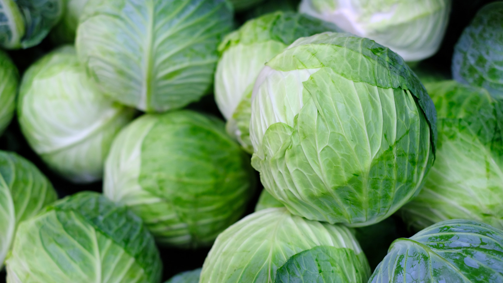 What To Look For When You're Buying Cabbage