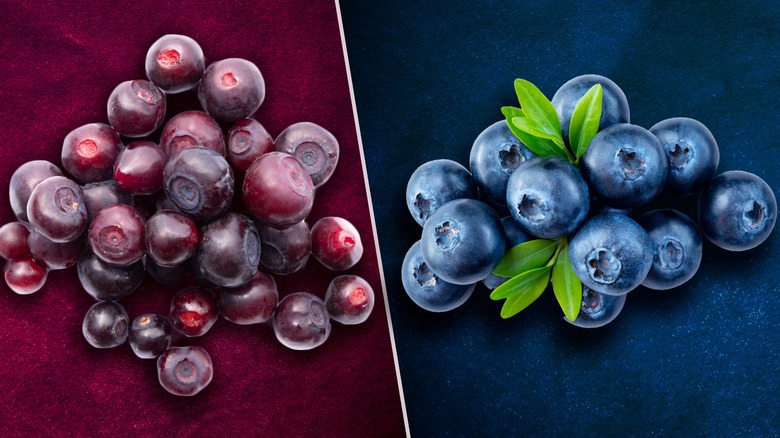 huckleberries and blueberries composite image