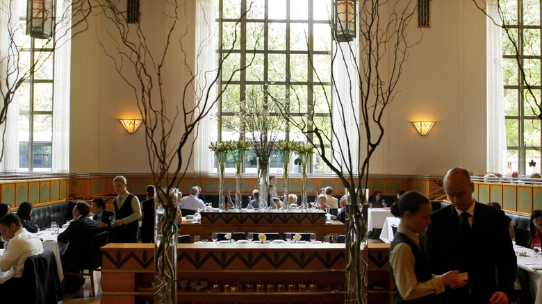 lunch at Eleven Madison Park
