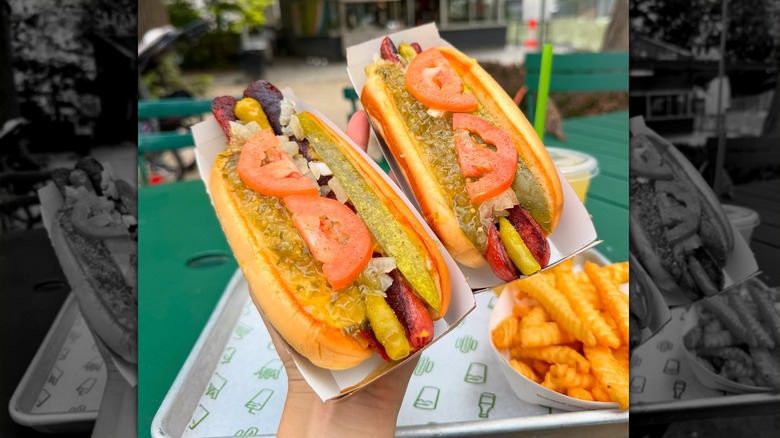 Hand holds up two Chicago-style hot dogs from Shake Shack