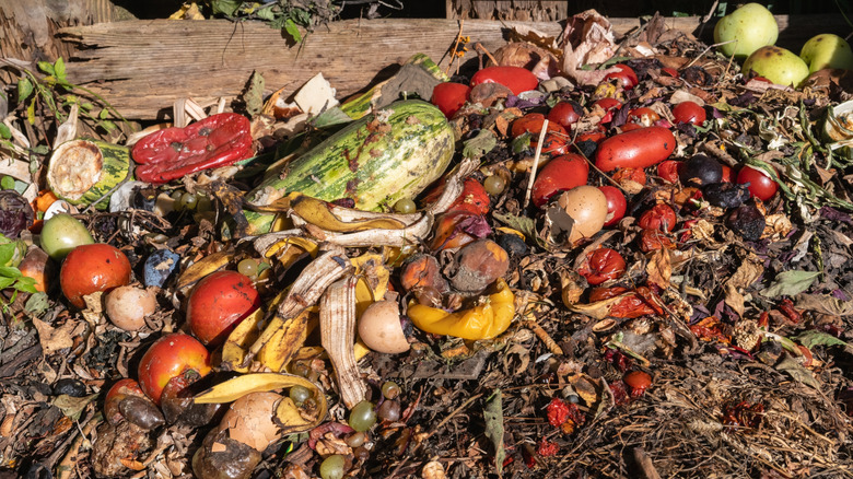 Pile of produce including bananas, Tomatoes, egg shells, apples, and peppers being turned into compost