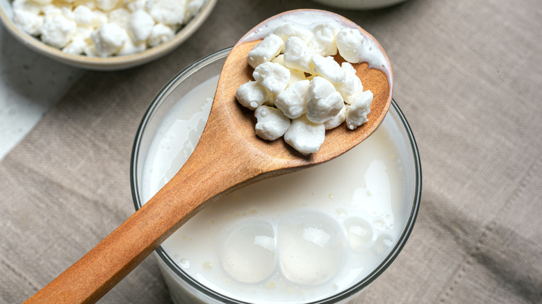 Kefir grains spoon glass milk