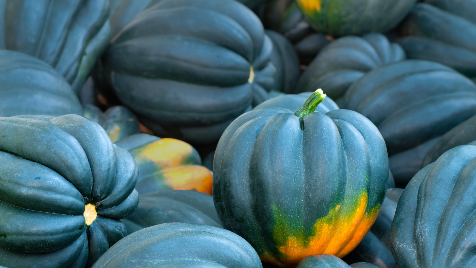 What You Should Consider Before Buying Acorn Squash