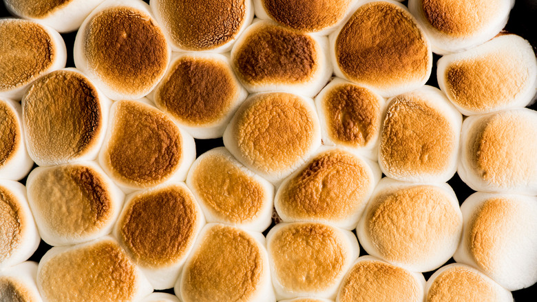 tray of toasted marshmallows