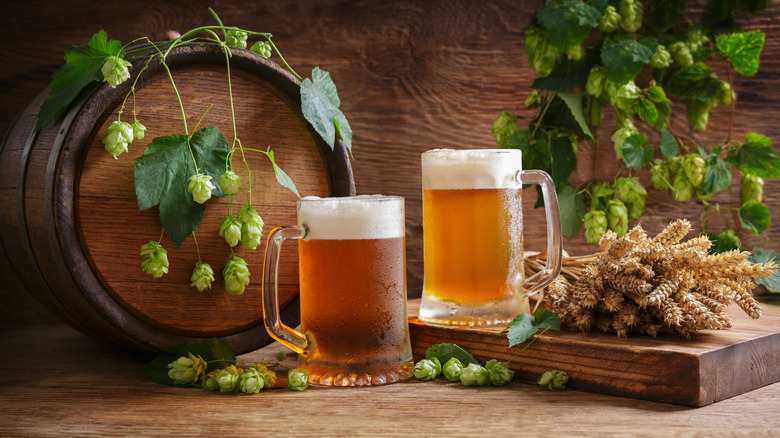 two mugs of beer on a wooden surface beside a small cask as well as barley and hops