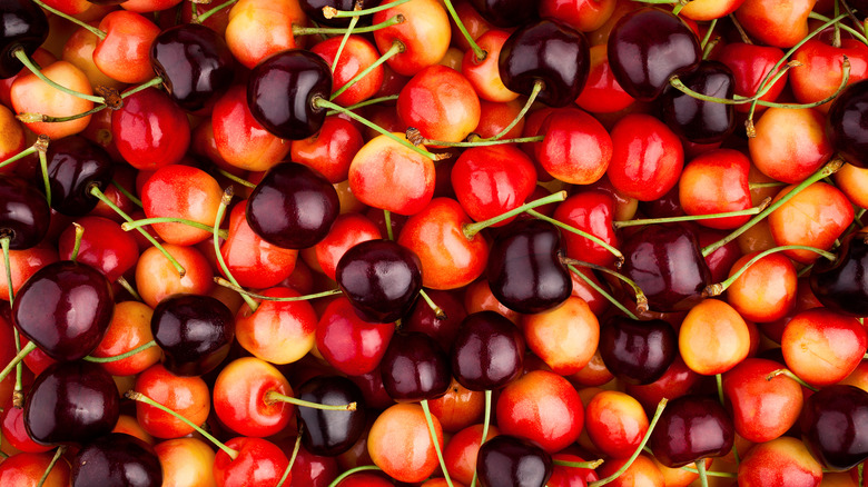mixed Bing and Rainier cherries 