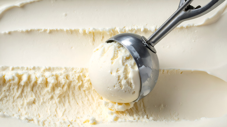 A close up of vanilla ice cream being scooped into a ball by a metal ice cream scoop.