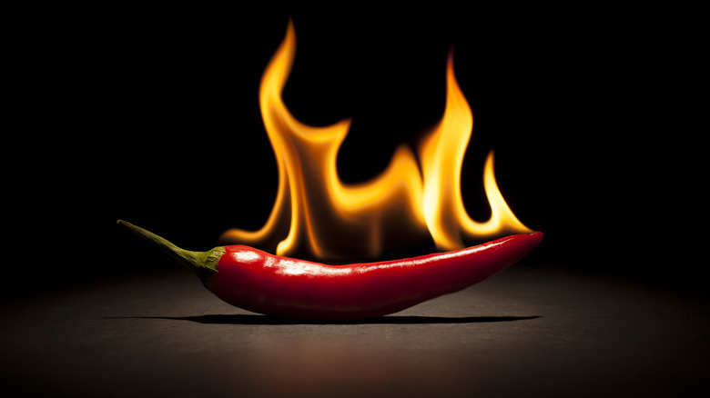 chili pepper on fire