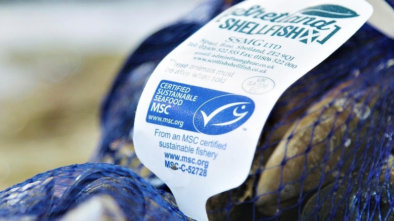 a bag of fresh shellfish certified sustainable by the MSC