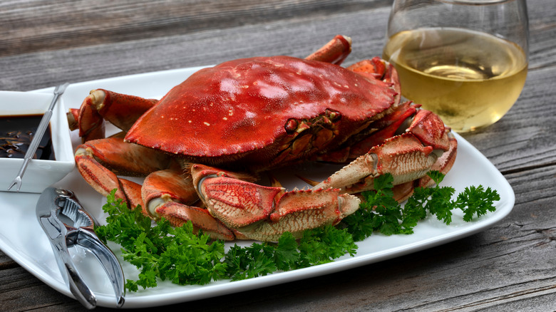 Cooked Dungeness crab on a plate with fresh herbs, sauce, and a cracker next to wine glass