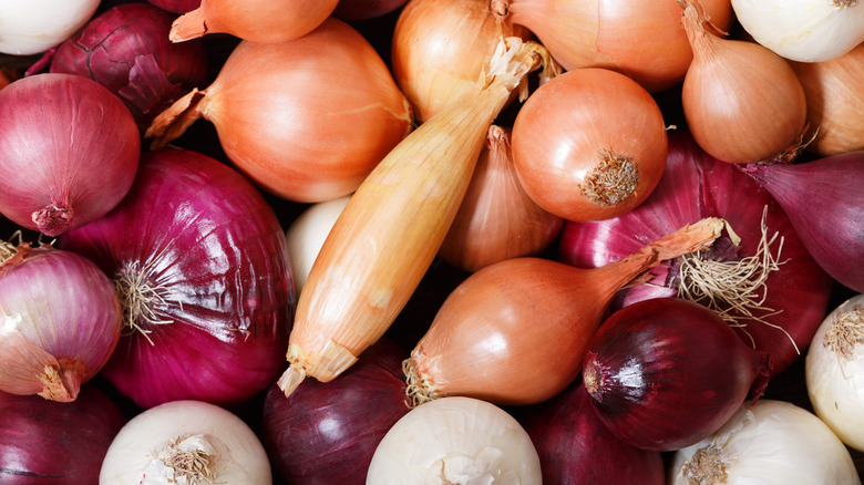 assortment of onions and shallots