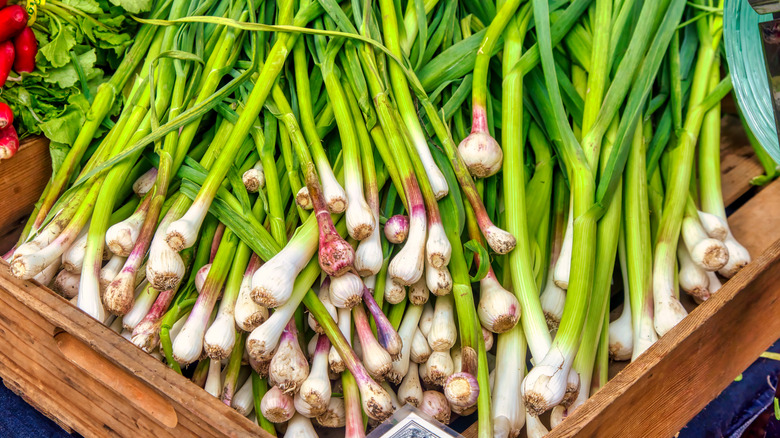Dozens of green garlic bulbs piled in a wooden crate at a farmers market